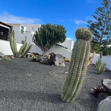 Casa El Nido Tatil Evi *