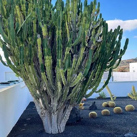 Casa El Nido * צ'ארקו דל פאלו